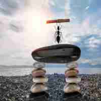 智‌能‍策‍划‍方​案‍怎﻿么​写​